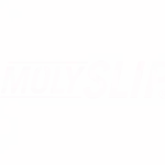 Molyslip
